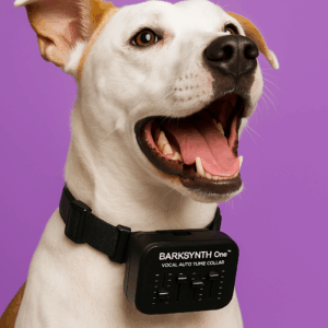 BarkSynth One™ Vocal Auto-Tune Collar displayed against a neutral background
